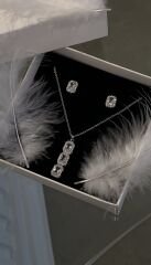 Baget set