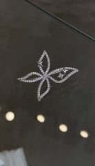 Kelebek kıkırdak küpe